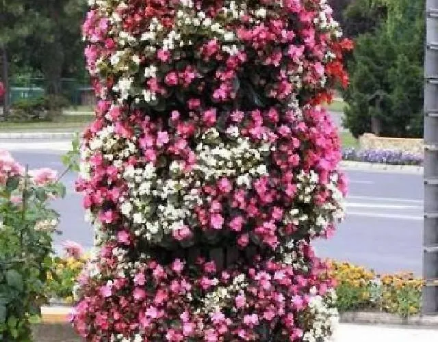 Crystal F * Balatonföldvár