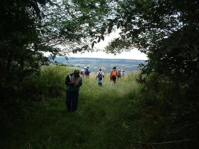 Crystal F Balatonföldvár